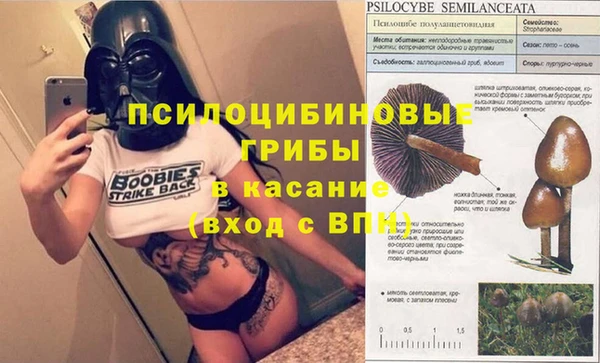 твердый Верхний Тагил