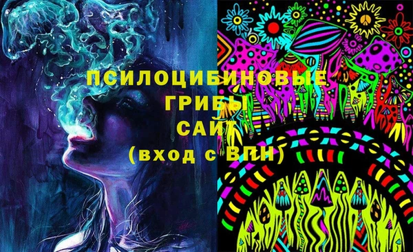 твердый Верхний Тагил