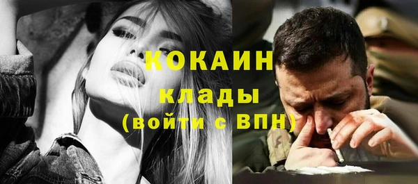 твердый Верхний Тагил