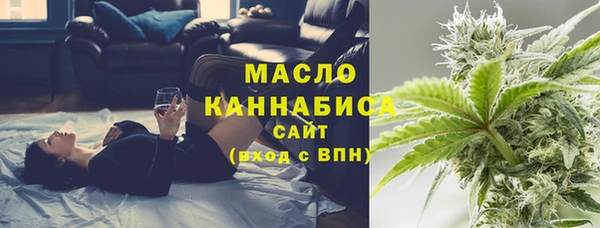 твердый Верхний Тагил